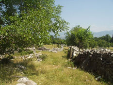 Pogled niz ulicu