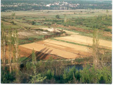 egarsko polje